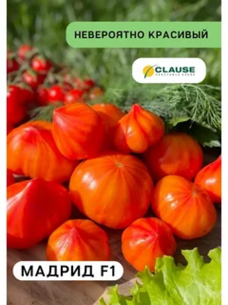 Томат  "Мадрид F1"  10 шт - фото1